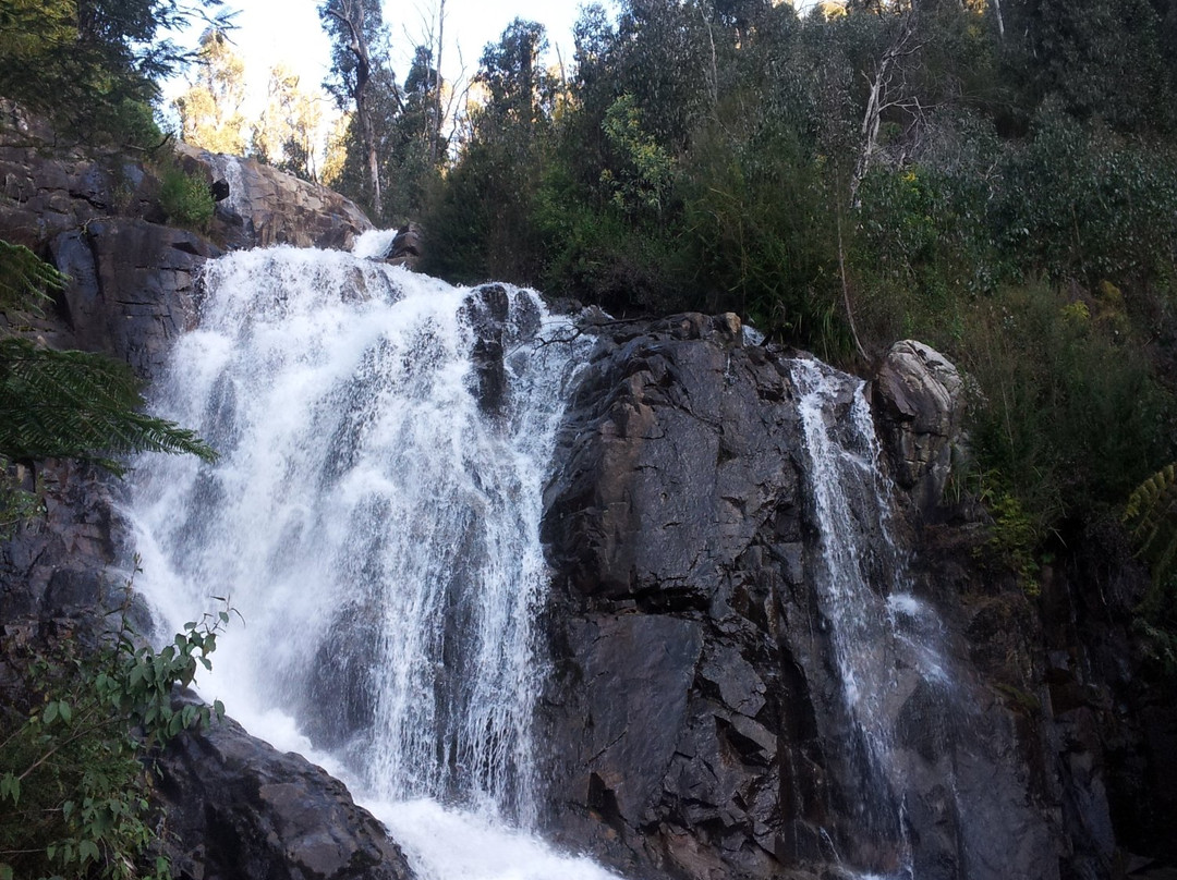 Marysville State Forest景点图片