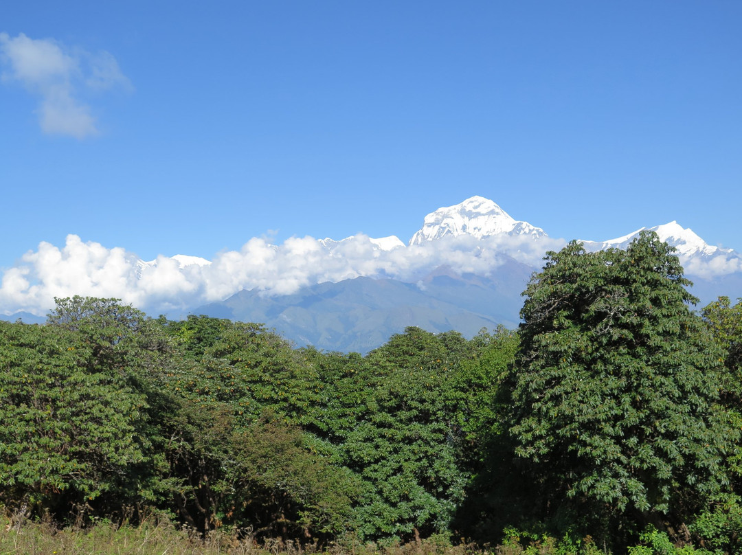 Big Sky Treks & Expeditions-加德满都必去景点