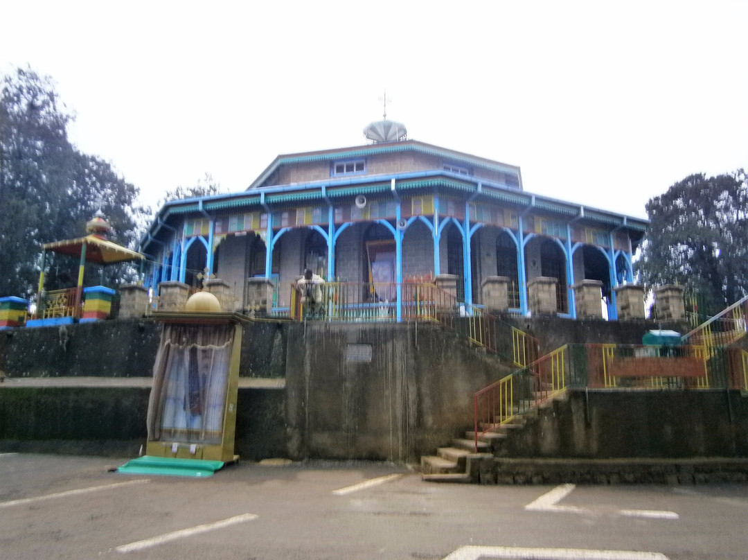 Menelik palace景点图片