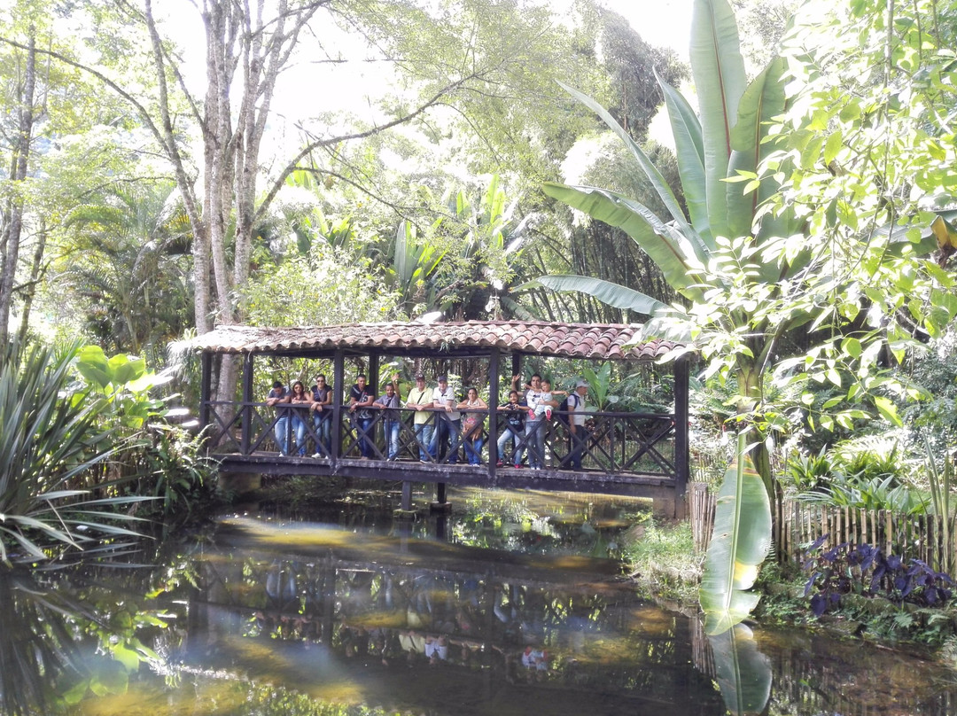 Jardin Botanico Los Balsos景点图片