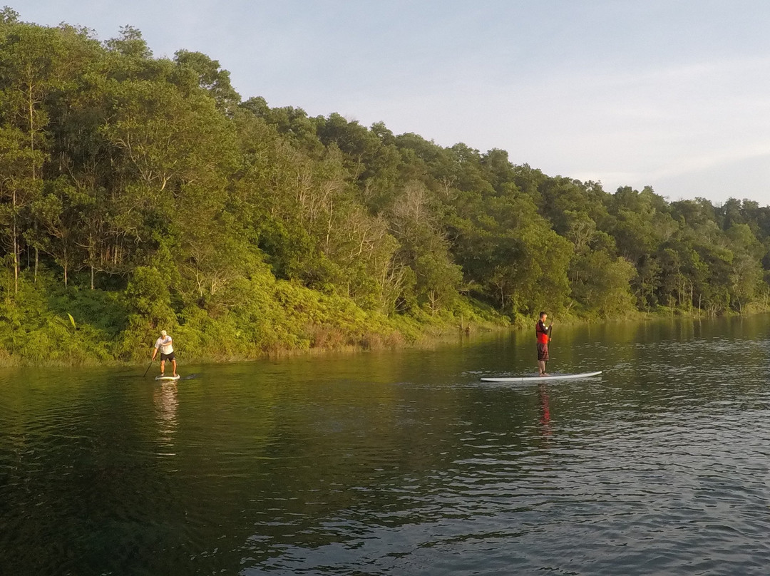 SUP Surfari景点图片