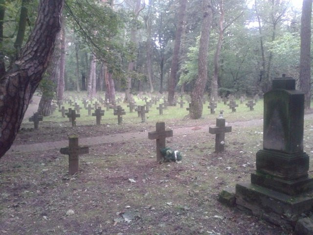 Modlin Fortress Cemetery景点图片