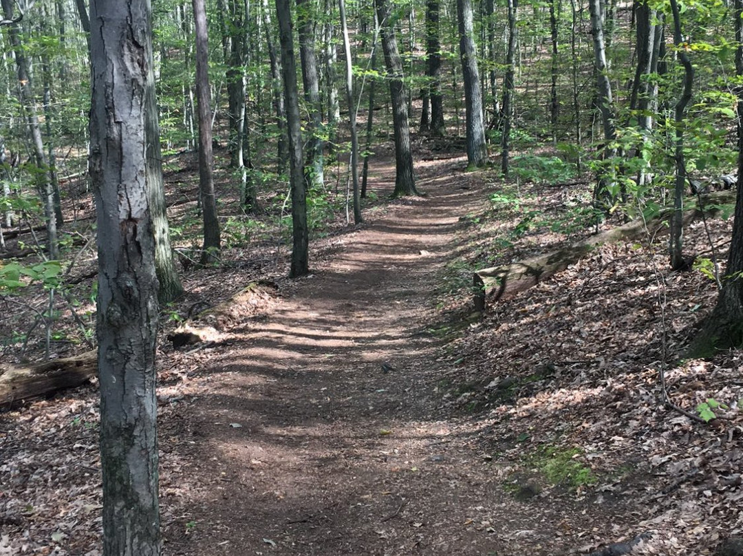 The Notch-艾姆赫斯特必去景点