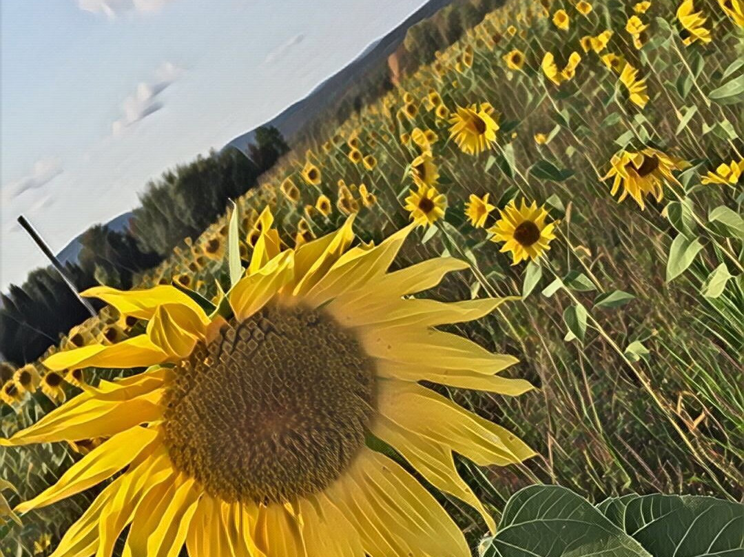 Erabliere Chic Rustique-Orford必去景点