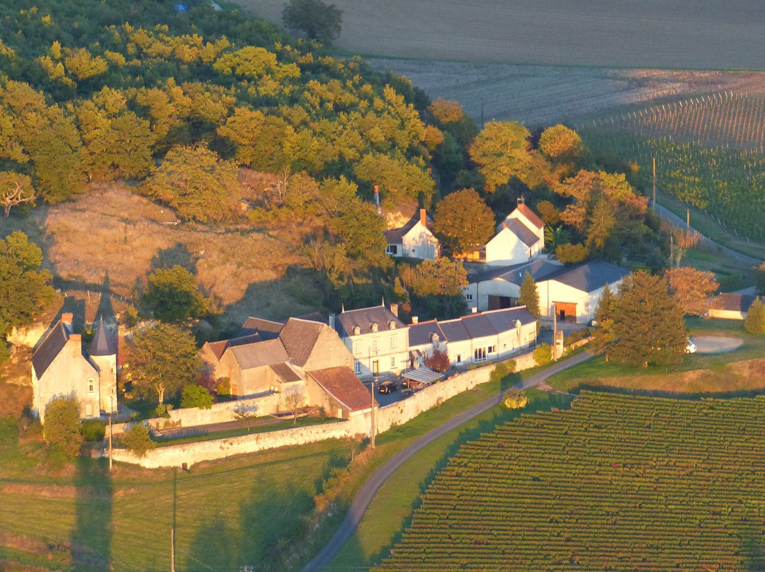 Domaine Eric Herault景点图片