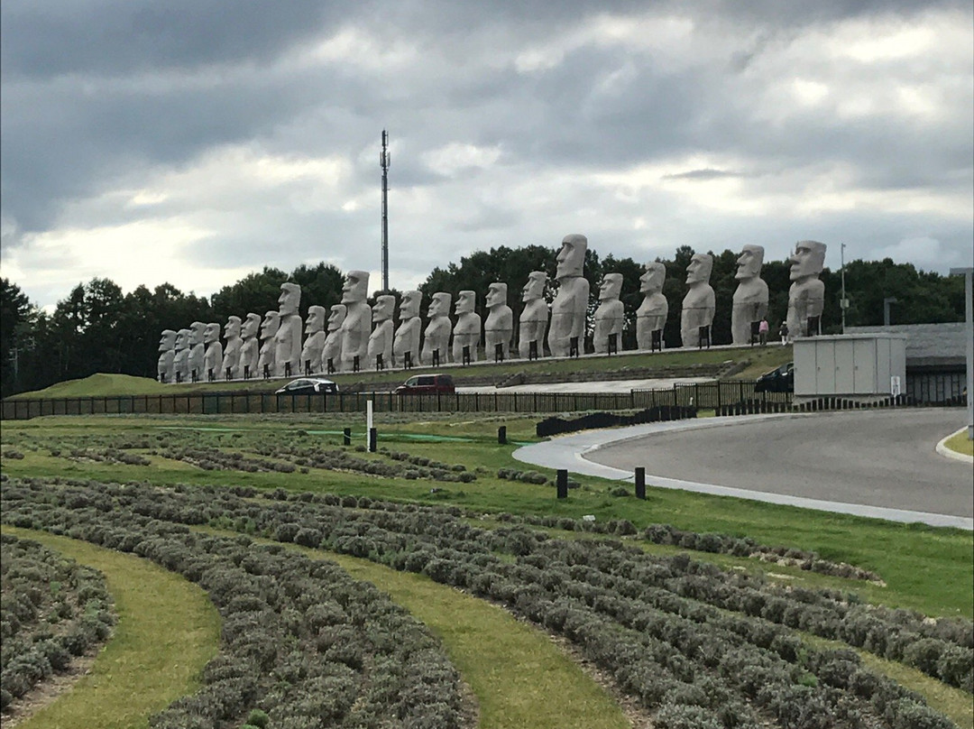 Makomanai Takino Cemetery-札幌市必去景点