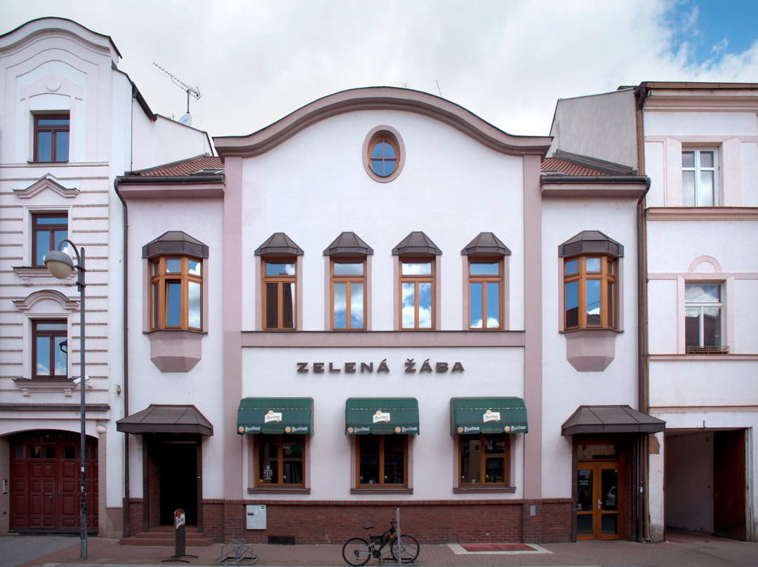 Zelena Zaba Restaurant & Sports Bar