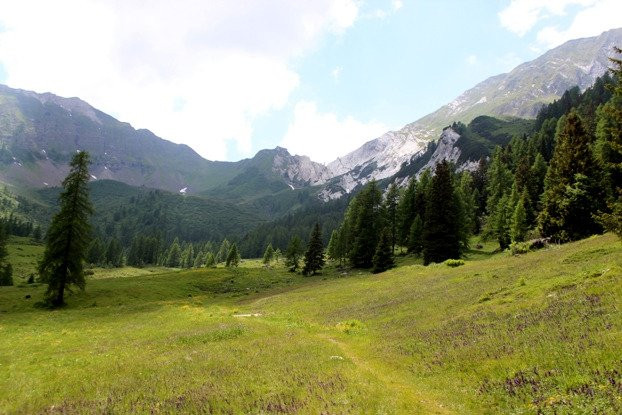 Sentiero 262 Staboletto Passo del Frate景点图片
