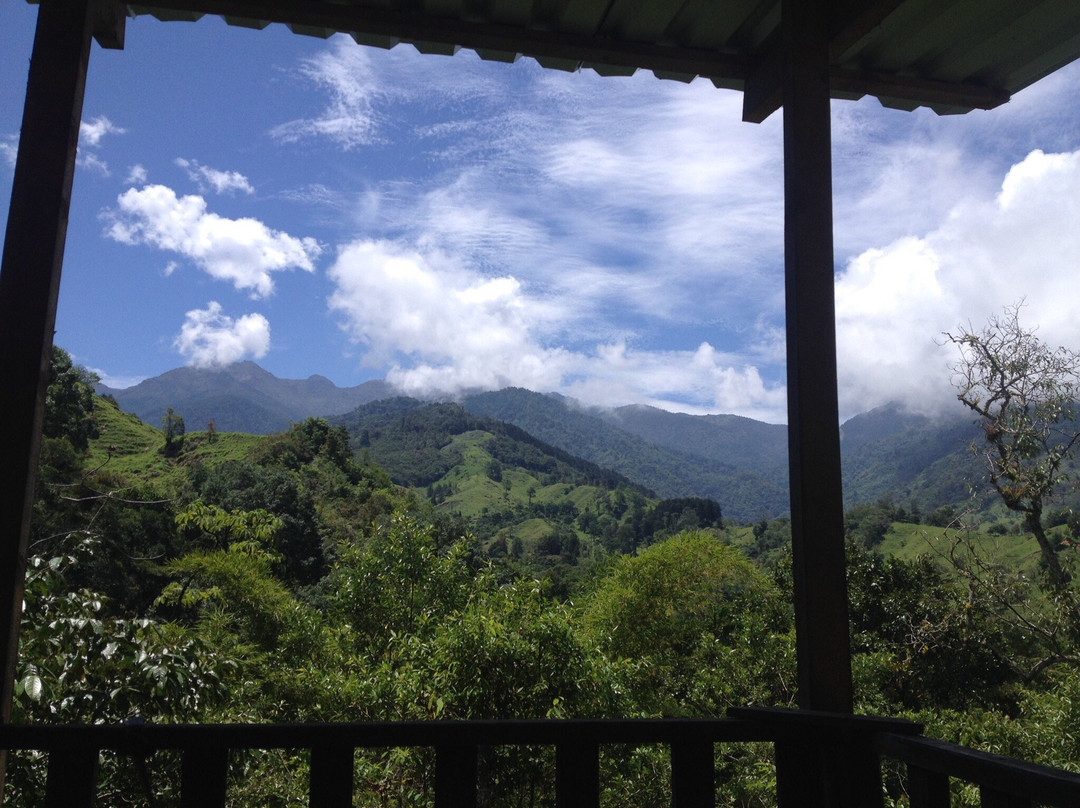 San Gerardo旅游攻略图片