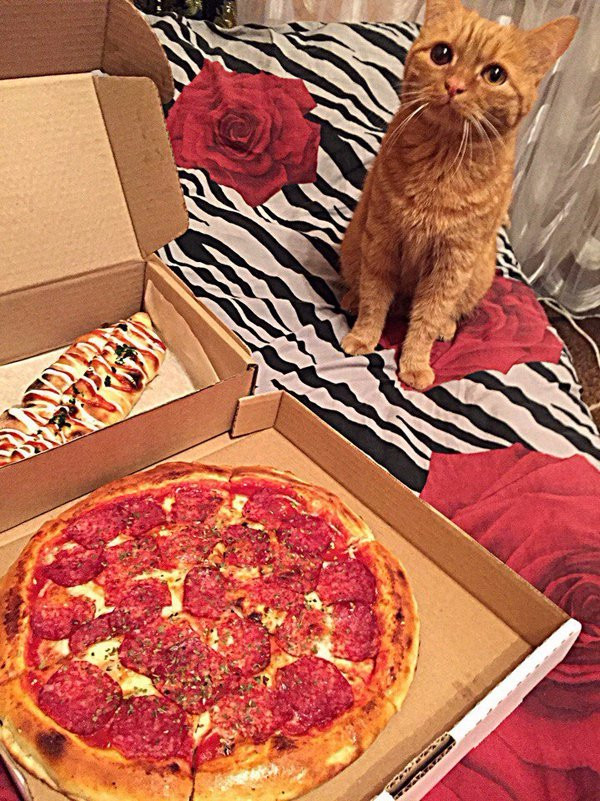Baziliko Pizza