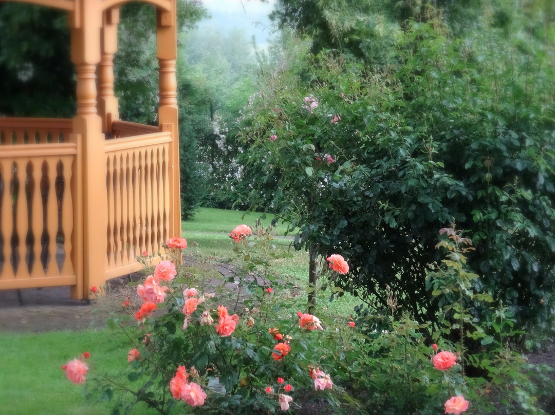 Rosengarten Seppenrade景点图片