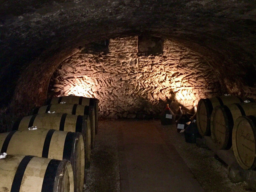 Max's Burgundy Wine Tour景点图片