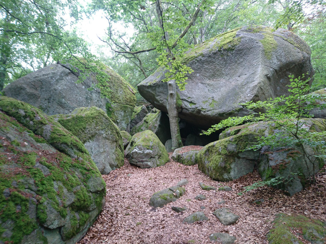Kjugekull