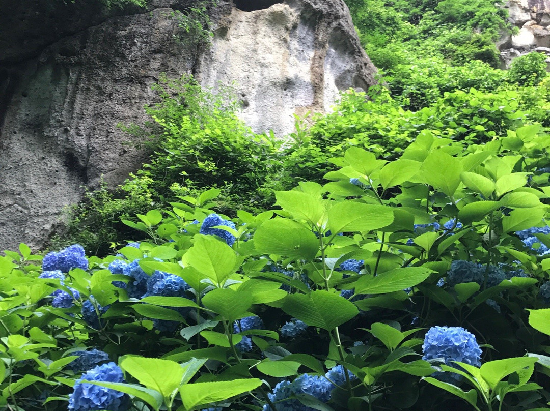 山形市旅游攻略图片