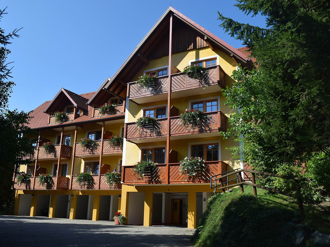 Gasthof Hotel Schmied主图