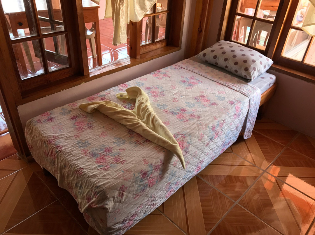 卡尼普胡松树景色小屋酒店