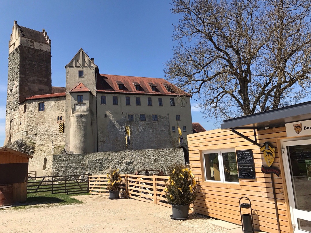 Burg Katzenstein景点图片