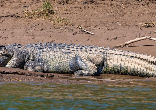 Northbound Charters-库努纳拉必去景点