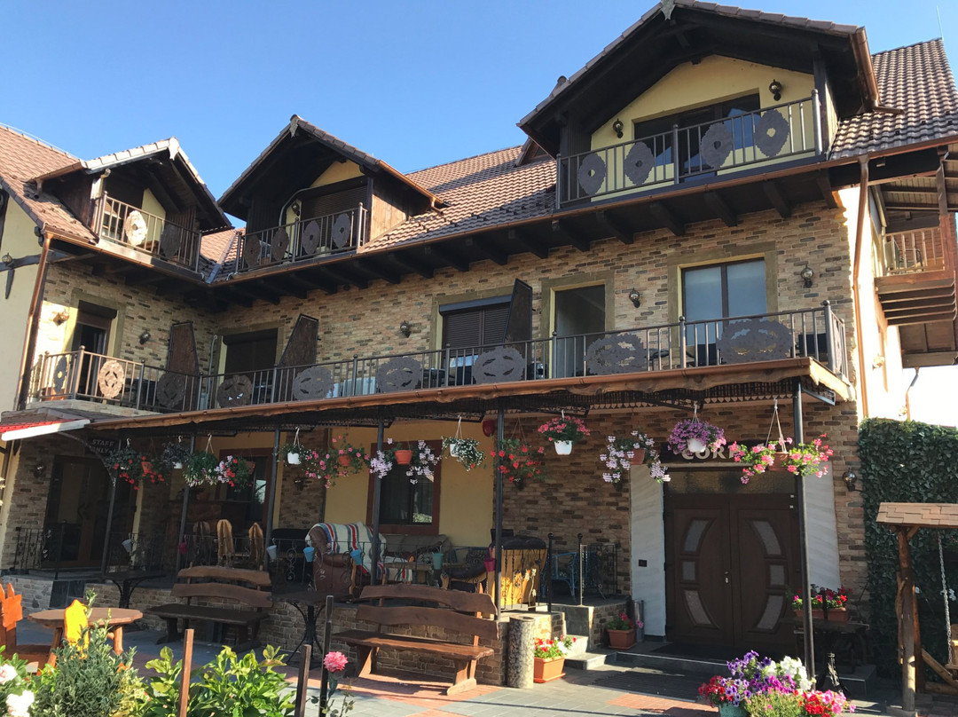 Ocna Mures酒店住宿-Pensiunea Milexim