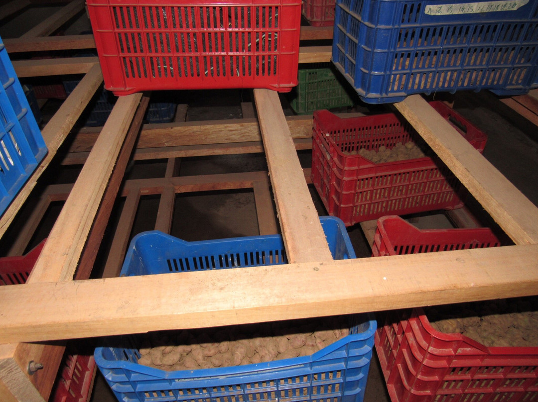 Potato Park-Pisac必去景点