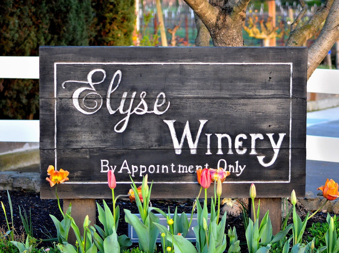 Elyse Winery景点图片
