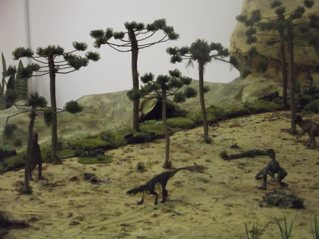 Univates University Museum of Natural Science-Lajeado必去景点