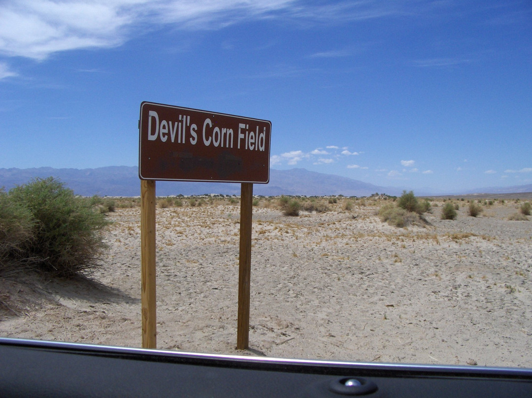 Devil's Corn Field景点图片
