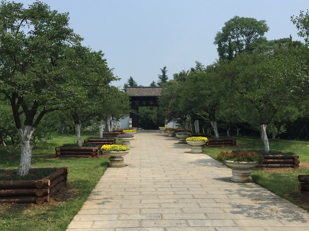 合肥植物园景点图片