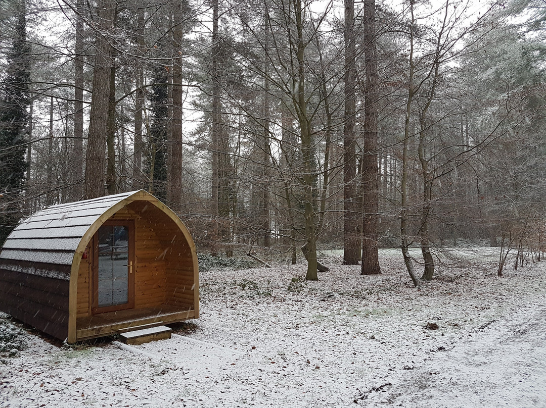 Thorpe Woodlands Adventure Centre景点图片