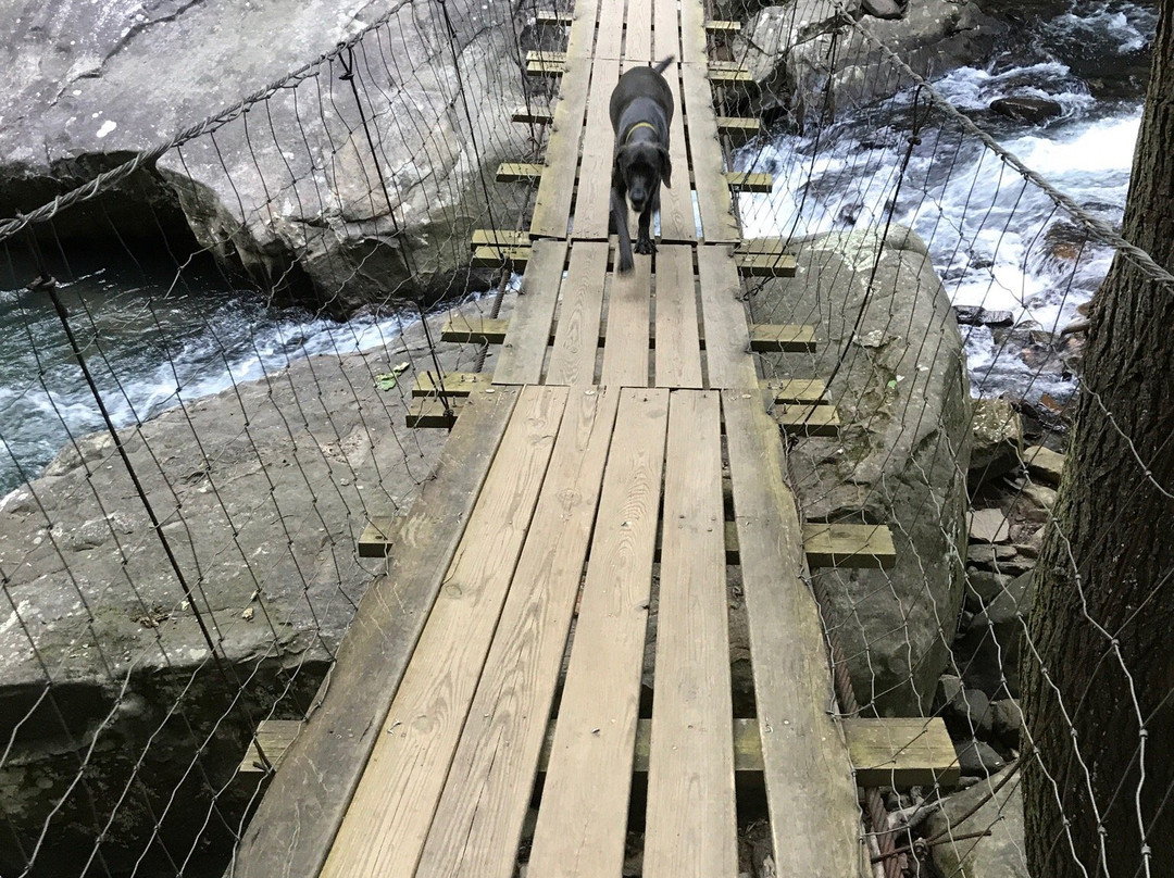 Rainbow Lake Trail-Signal Mountain必去景点