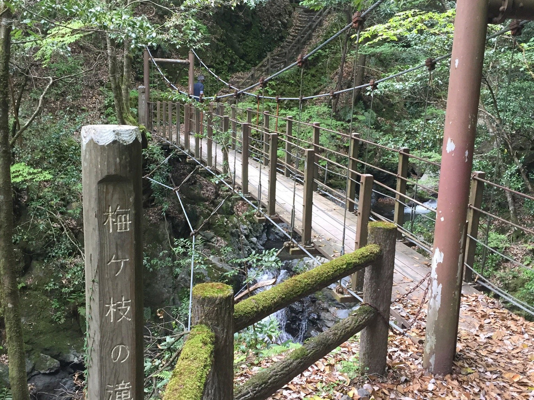 Supension Bridge, Umenoki Todoroki Park-八代市必去景点