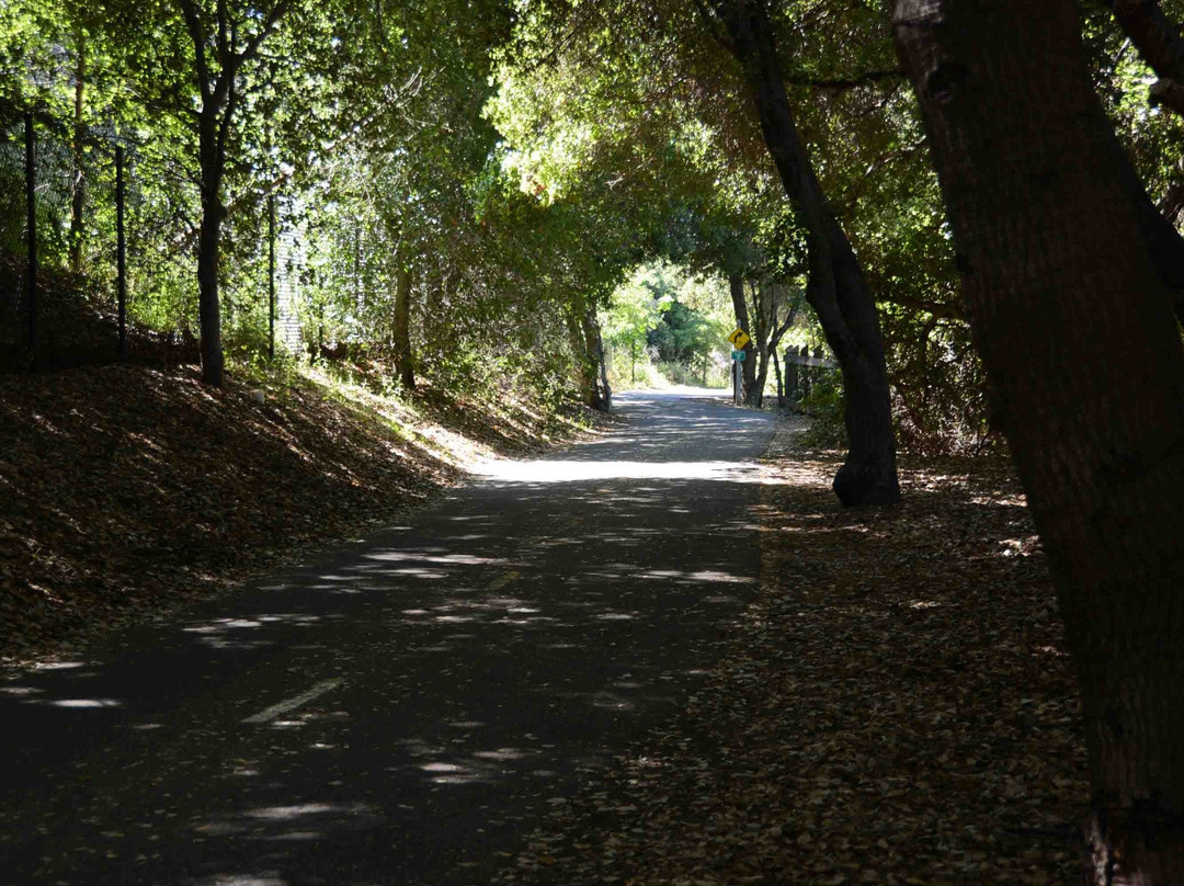 史蒂文斯溪小道-山景城必去景点