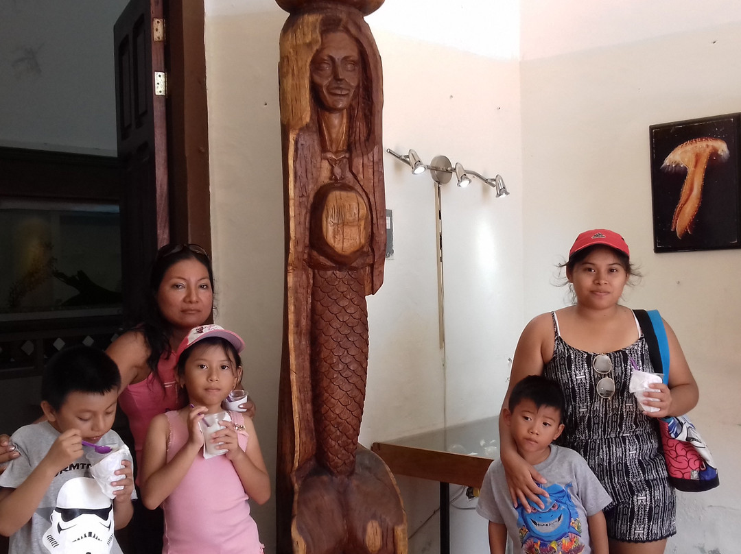 Museo Del Mar Mexico-Telchac Puerto必去景点