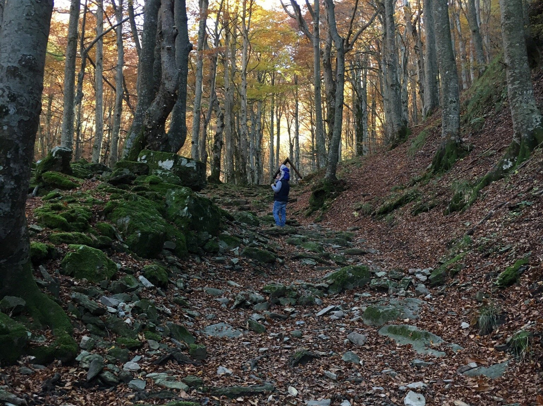 Santuario della Madonna del Faggio-Porretta Terme必去景点