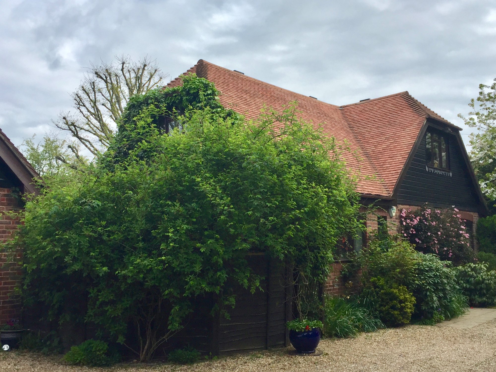 Beacon Lodge Bed and Breakfast-浴室