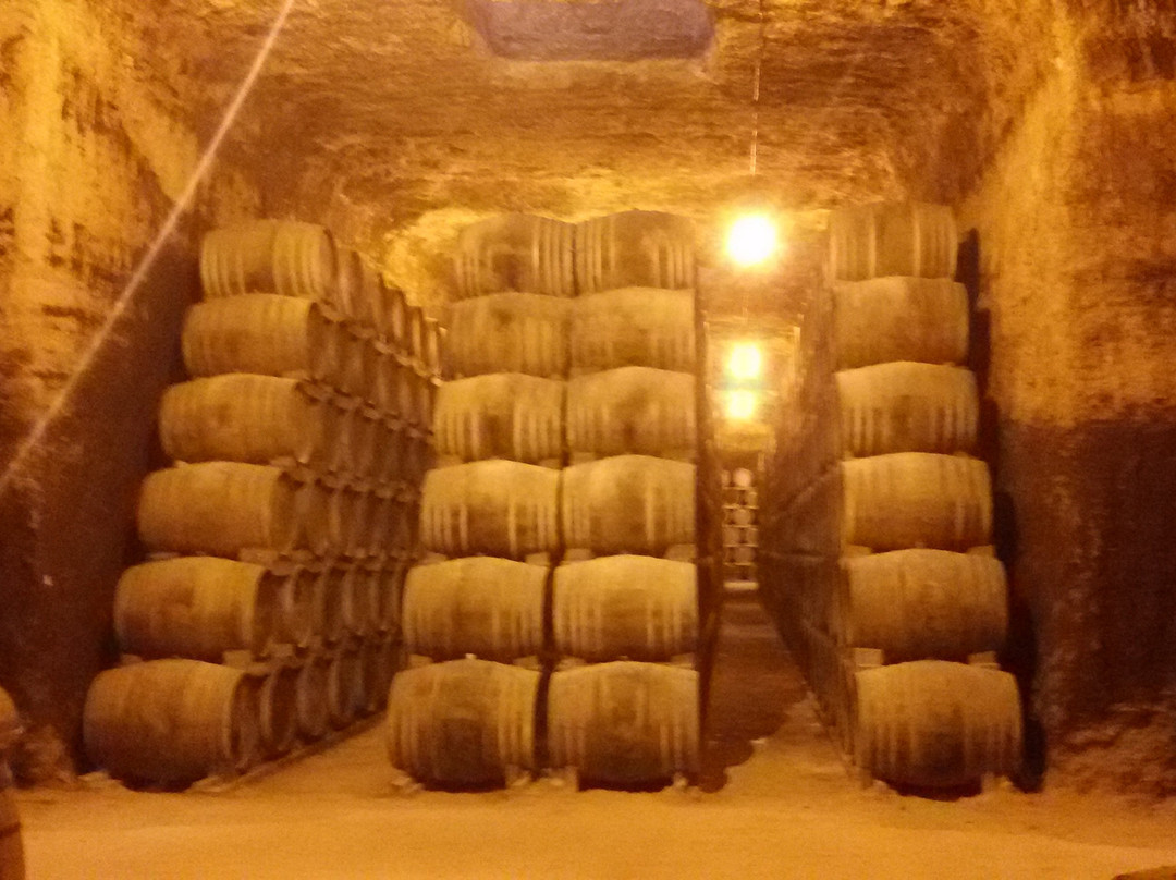 Bodegas y Viñedos Verum景点图片