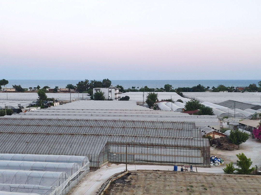 Cemre Apart