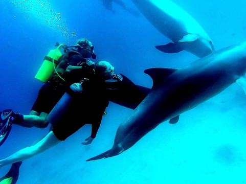 Israel Dive - diving in Eilat, Israel-埃拉特必去景点