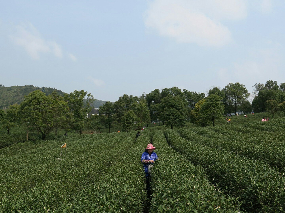 开元芳草地乡村酒店主图