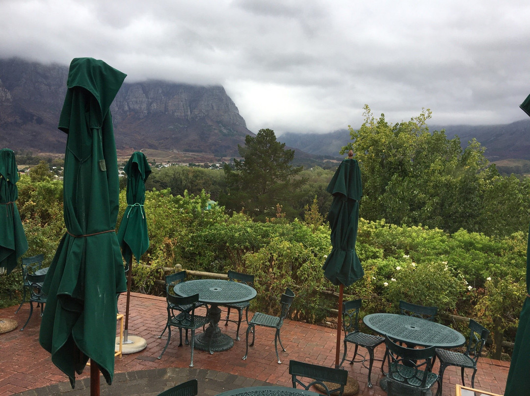 Pniel餐馆和美食-Hillcrest Berry Orchard