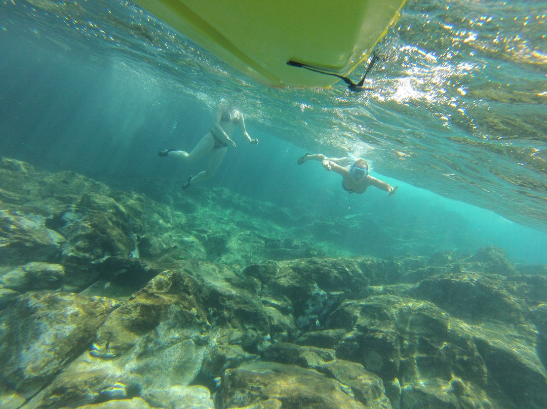 Eco-Tours Tenerife-洛斯克里斯蒂亚诺斯必去景点