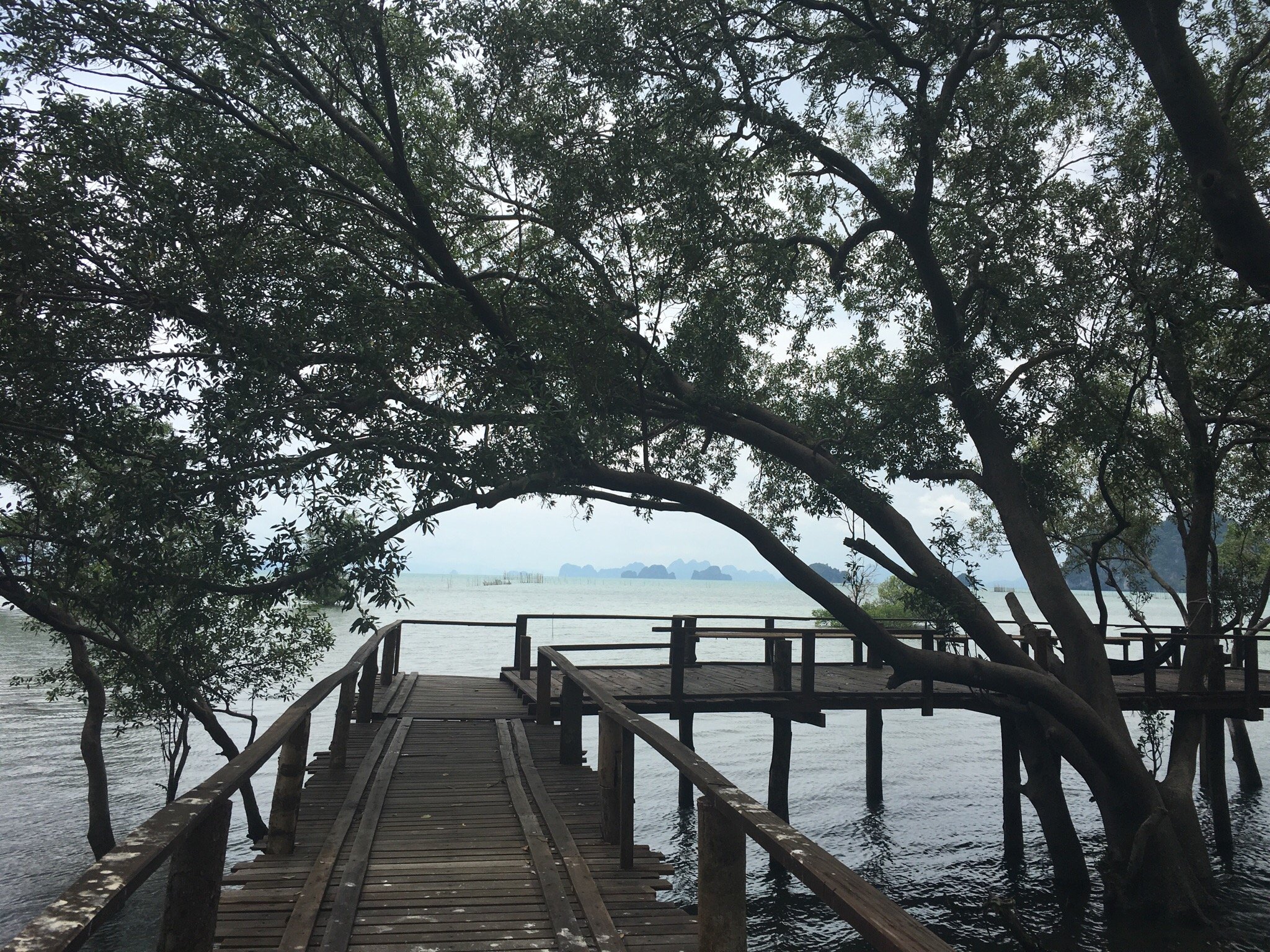 The Nature Home Krabi-泳池