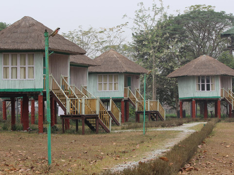 Gorumara Elephant Camp