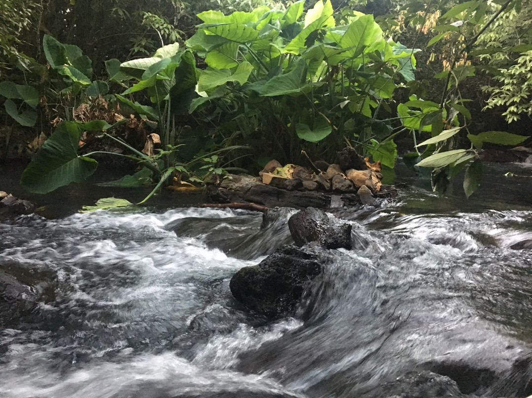 Paraiso natural de aguas termales kauar tikuri景点图片