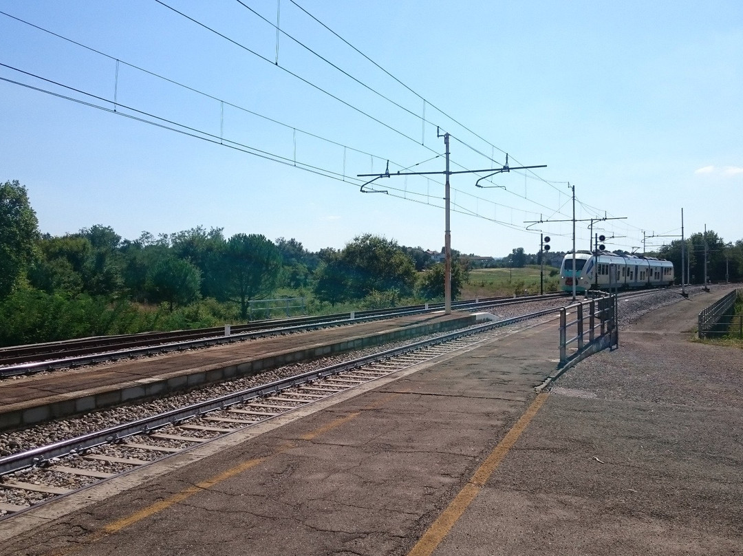 Badia Al Pino旅游攻略图片