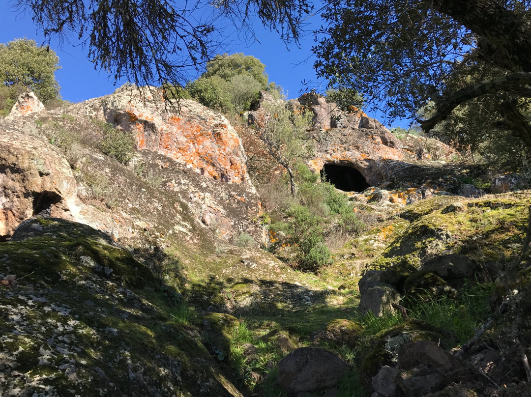 Thiesi旅游攻略图片