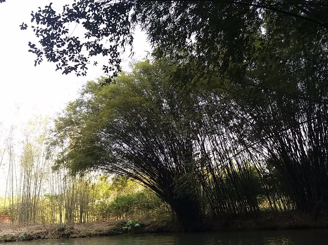 仙桥地下河-英德市必去景点