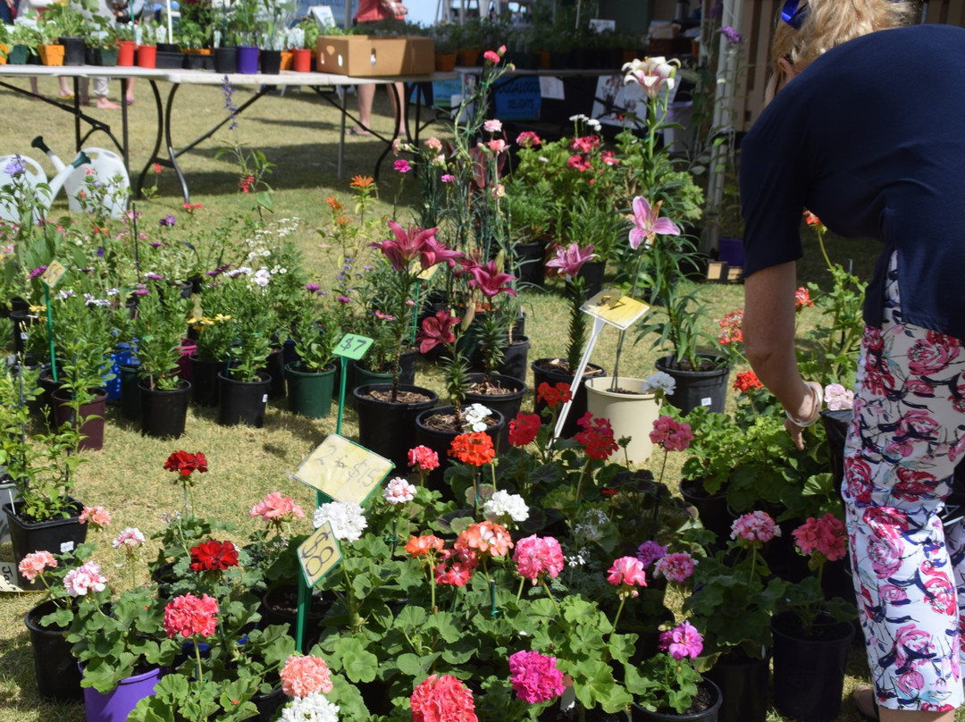 Port Elliot Market-Port Elliot必去景点