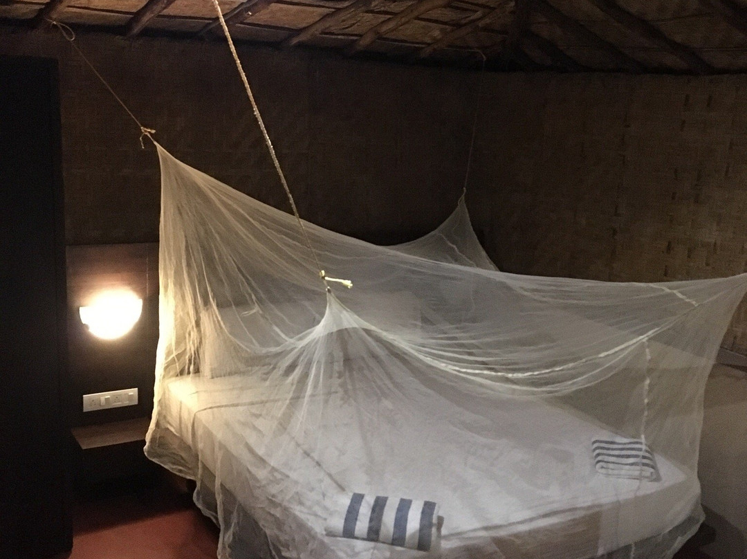 Oceanic Yoga-Mandrem必去景点