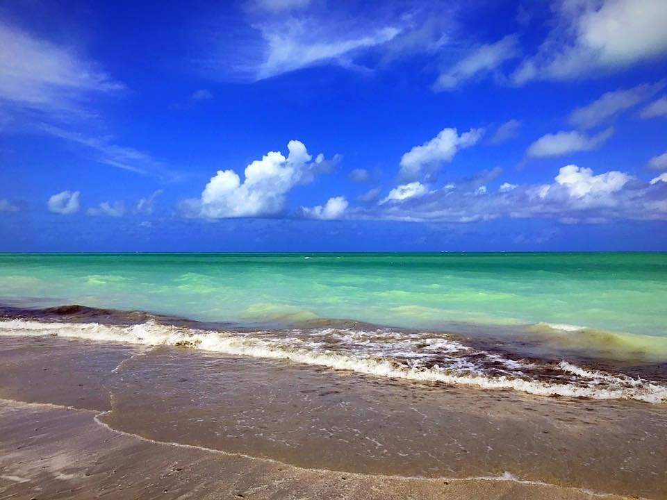 Fortinho Beach (Enseada dos Golfinhos)景点图片